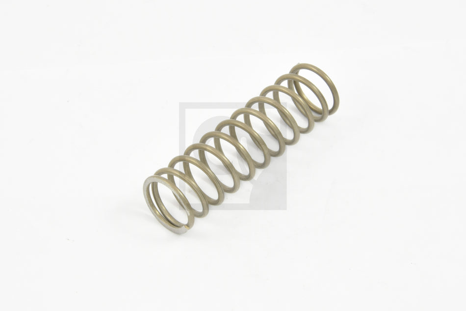 3038793 Spring