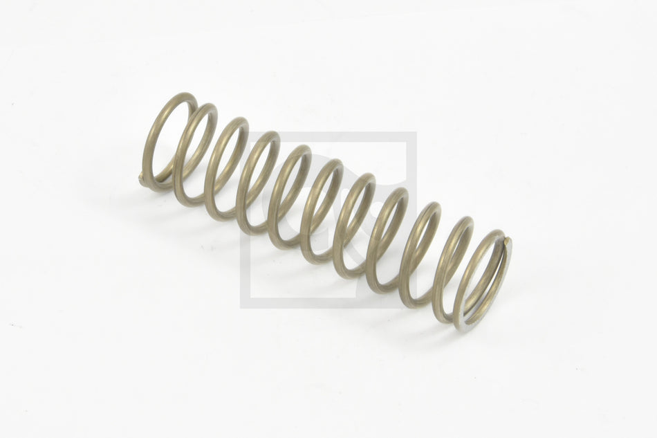 3038793 Spring